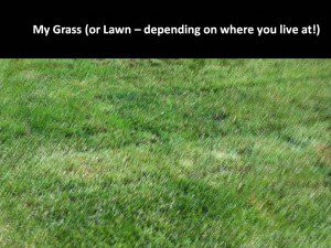 YJ-Grass